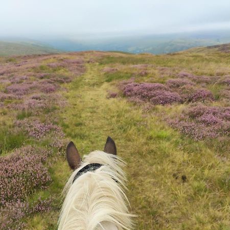 Hotel Pentre Riding Stables Abercraf Esterno foto