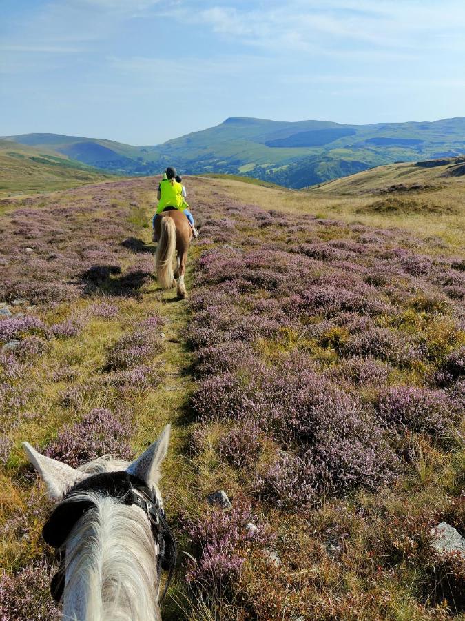 Hotel Pentre Riding Stables Abercraf Esterno foto