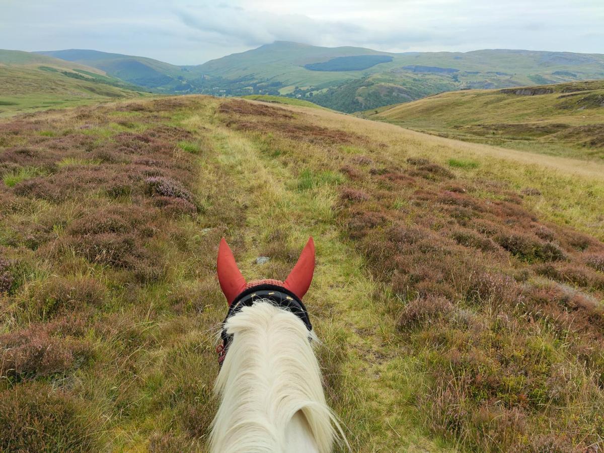 Hotel Pentre Riding Stables Abercraf Esterno foto